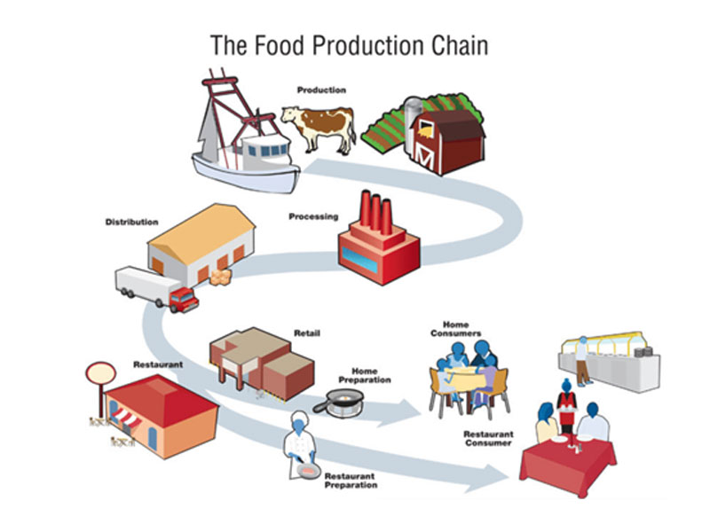 Food Supply Chain Management for Restaurants